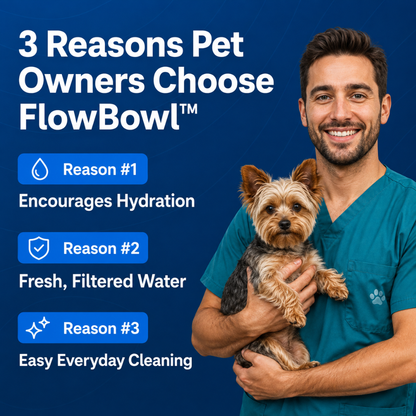FlowBowl™ Smart Dog Water Fountain