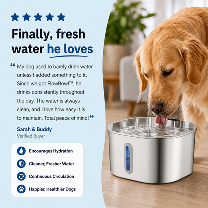 FlowBowl™ Smart Dog Water Fountain