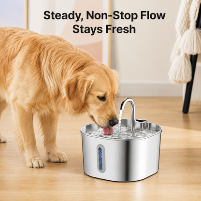 FlowBowl™ Smart Dog Water Fountain