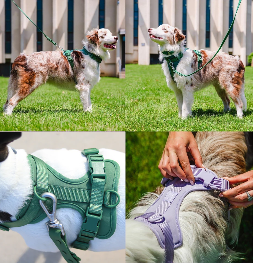 Made for Comfortable Everyday Walks